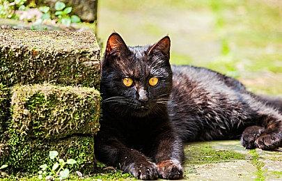 陈奕迅新歌 《英雄联盟：双城之战》第二季中文主题曲全网上线